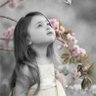 Sahar Ahmed's profile picture
