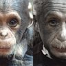 Фото профиля Luis Margoles