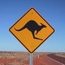 Profilbild von kangaroo