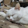 mya profil fotoğrafı