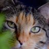 Profilbild von TLynn S....