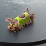 Supplantor's profile picture