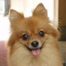 はるたな's profile picture