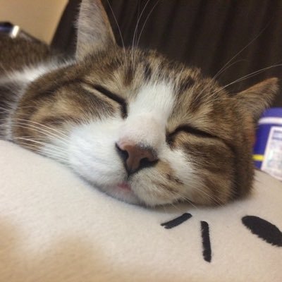 Karubishi's profile picture