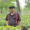Profilbild von chinmoy mitra