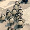 マイケルーデップ profil fotoğrafı