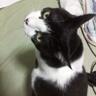 yukari_thuduki's profile picture