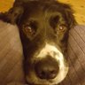 Profilbild von TJ