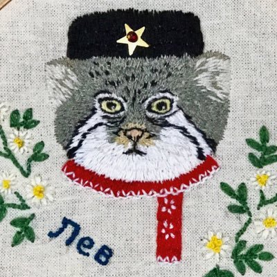 linmei's profile picture