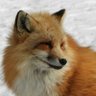 Profilbild von TTNKISK