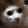 まじかる☆'s profile picture