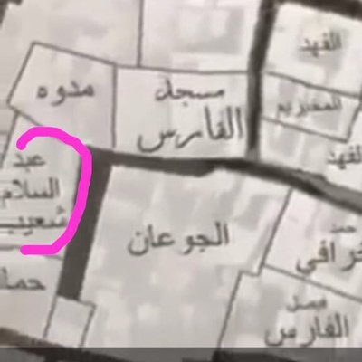mariam_shuaib6's profile picture