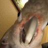 shane cragun's profile picture