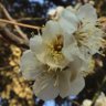 いるかなぁ profil fotoğrafı