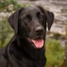 Kath Foster-Myers's profile picture