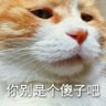 Sayui's profile picture
