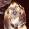 Pablo Rozen's profile picture