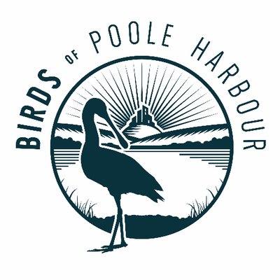 harbourbirds's profile picture