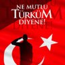 10. Köyün Kavalcısı 的头像