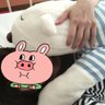 りな 的头像
