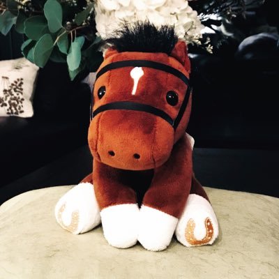 Julien Phelippon's profile picture