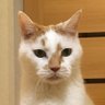 tarosuke profil fotoğrafı