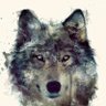 心地良い風's profile picture