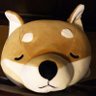 yuky's profile picture
