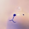 Фото профиля うに丸