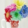 さっきー❤💙💗💛💚 profil fotoğrafı