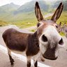 Profilbild von Garri