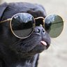 slhangen's profile picture