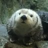 ララ's profile picture