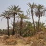 Profilbild von Masoud.A.ALMasoud