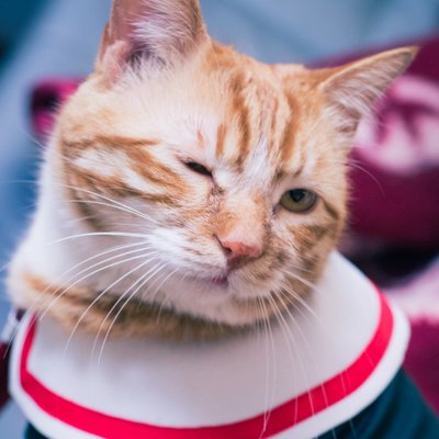 G·K(hWaken)'s profile picture