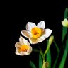 Фото профиля mack Li