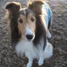 a's profile picture