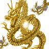 龍 profil fotoğrafı