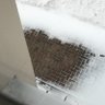 Фото профиля 粉雪