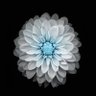E H's profile picture