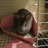 Profilbild von oliver