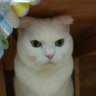 Lucky7's profile picture