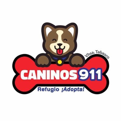 Caninos911's profile picture