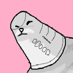 Serponge (gd)'s profile picture