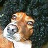 Profilbild von ããã¿ãã¬