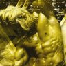 The Golden One's profile picture