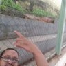 Marcos Braga's profile picture