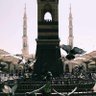 رجل من اقصى المدينة's profile picture