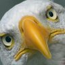 NoTimorousBeastie's profile picture