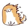 Profilbild von UBsoft